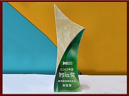 数字服务典范企业