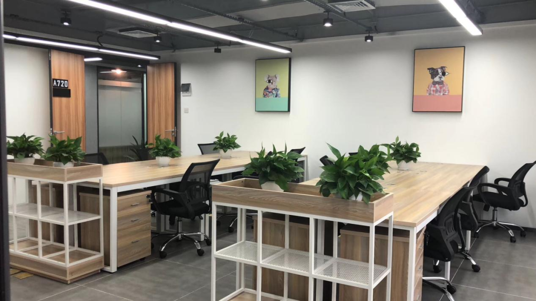 NEWS | 高效率低成本，看创富港如何利用精细化运营实现持续盈利